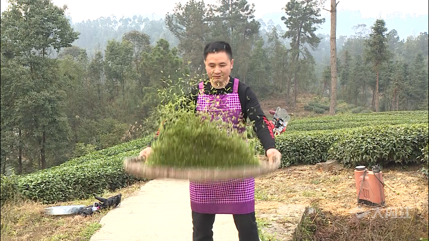 微信图片_20210224161148_副本.png