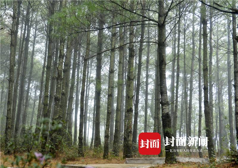 269955_1629701425207210.jpg 8.jpg