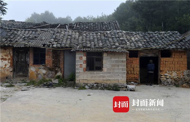 269955_1629701454366062.jpg 5.jpg