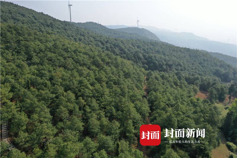 269955_1629701465749900.jpg 4.jpg